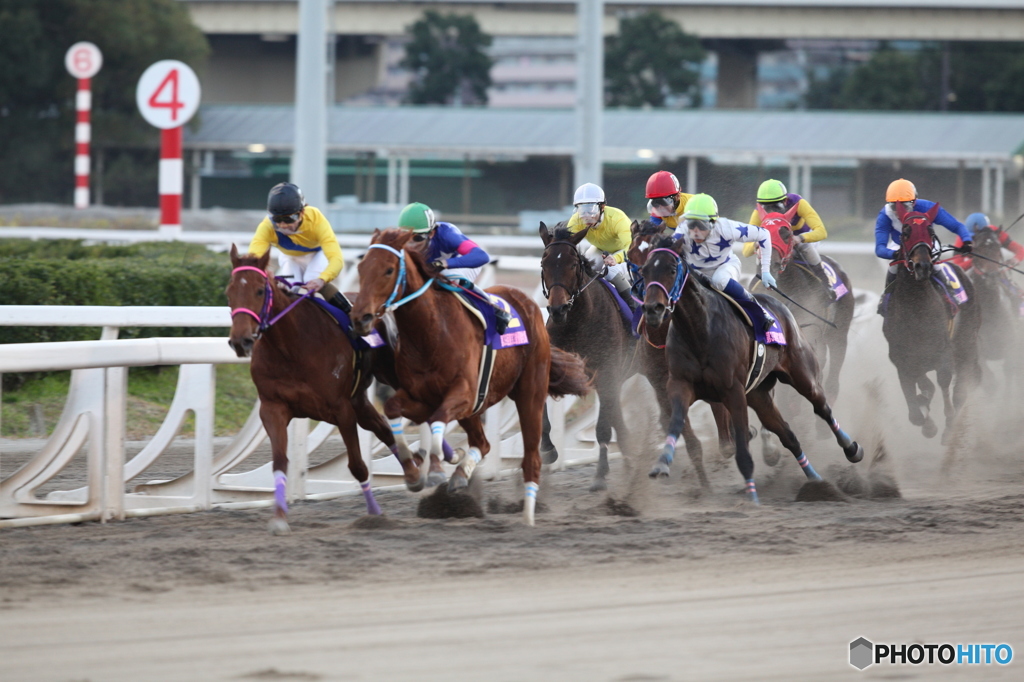 大井競馬