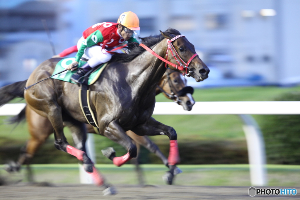 川崎競馬