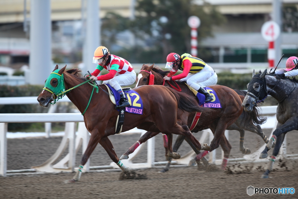 第21回 ＴＣＫ女王盃（ＪｐｎIII）　牝馬選定馬重賞