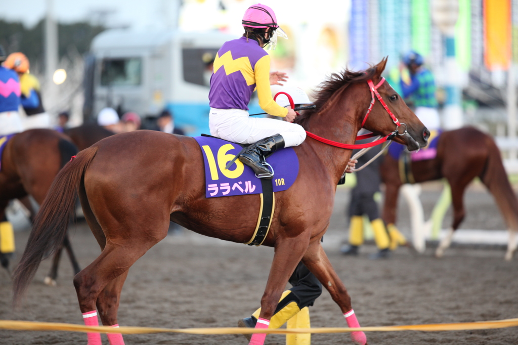 第38回 東京２歳優駿牝馬・ララベル