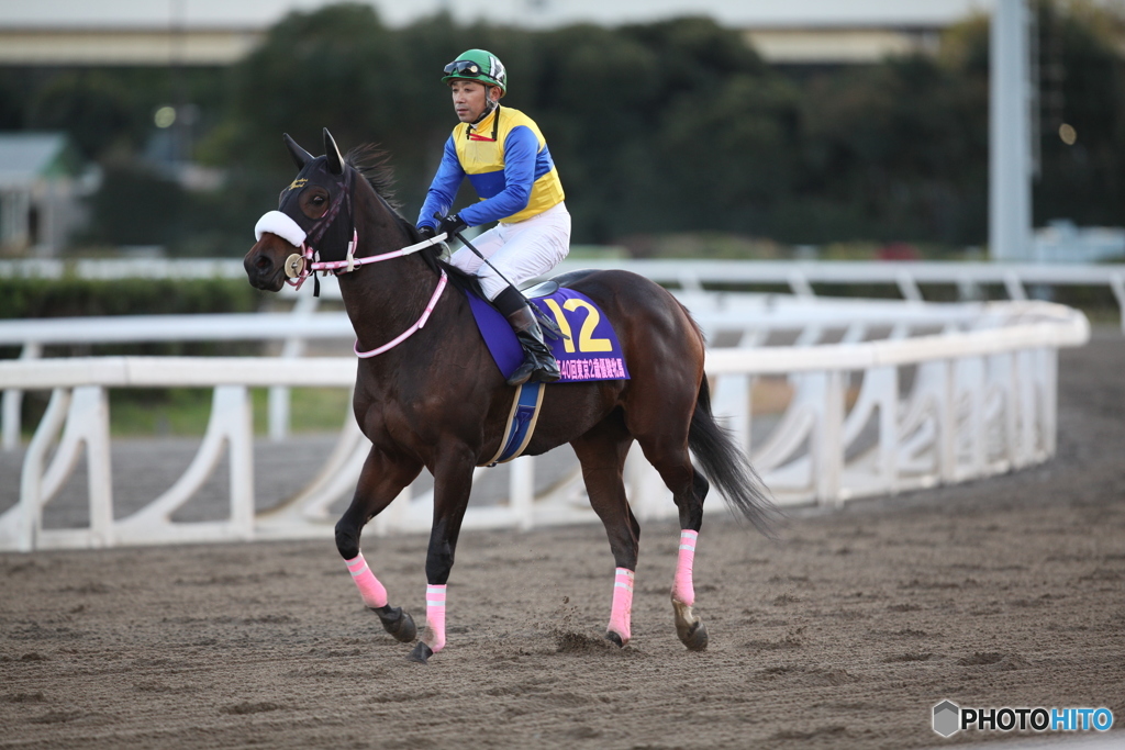 第40回 東京２歳優駿牝馬（ＳI）　選定馬重賞