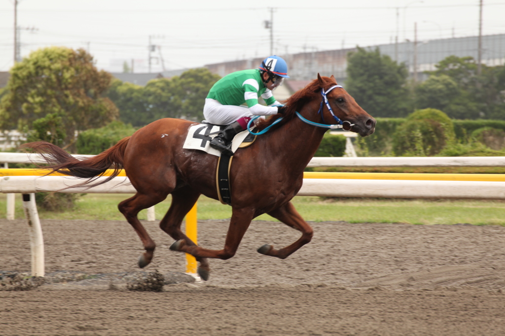 船橋競馬