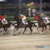 東京シティ競馬