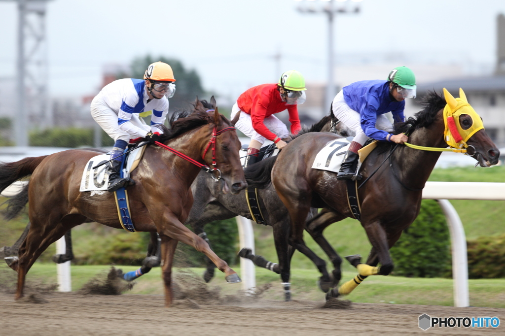 川崎競馬