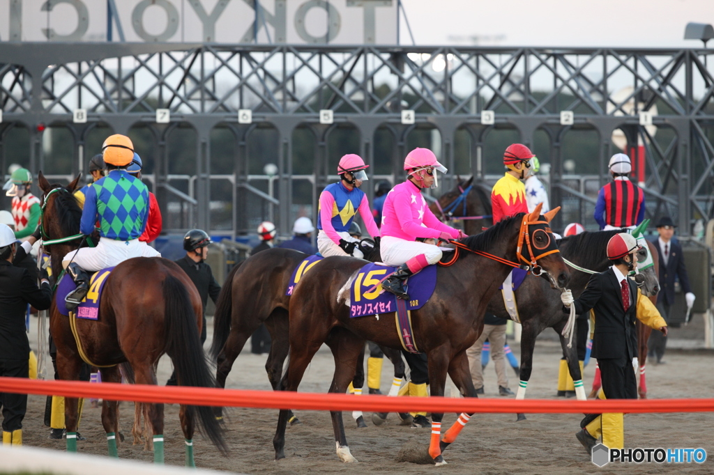 大井競馬