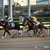 東京シティ競馬