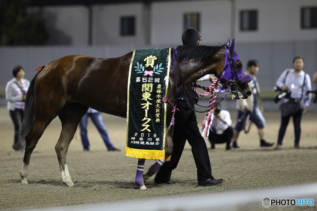 川崎競馬