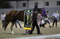 川崎競馬