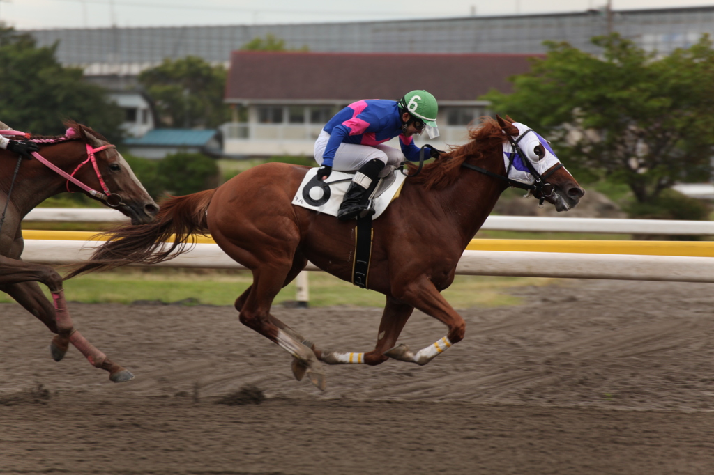 船橋競馬