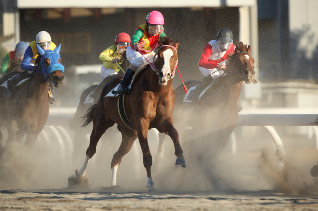 川崎競馬