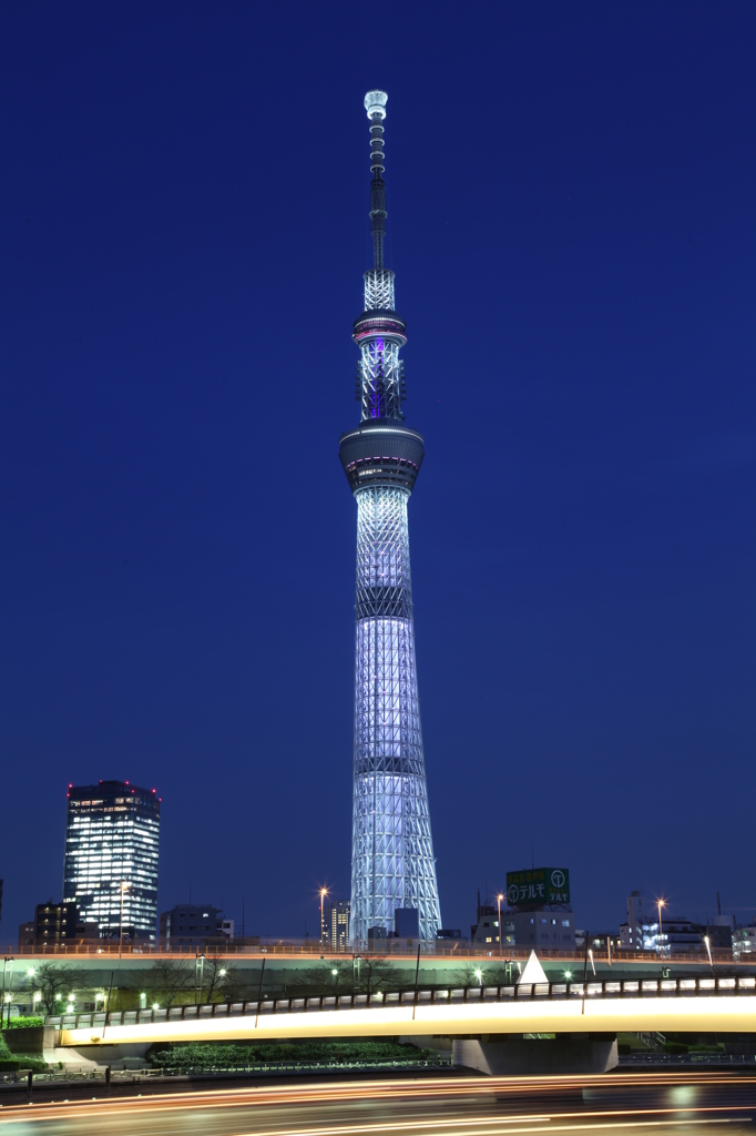 桜橋から