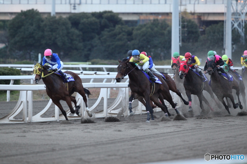 大井競馬