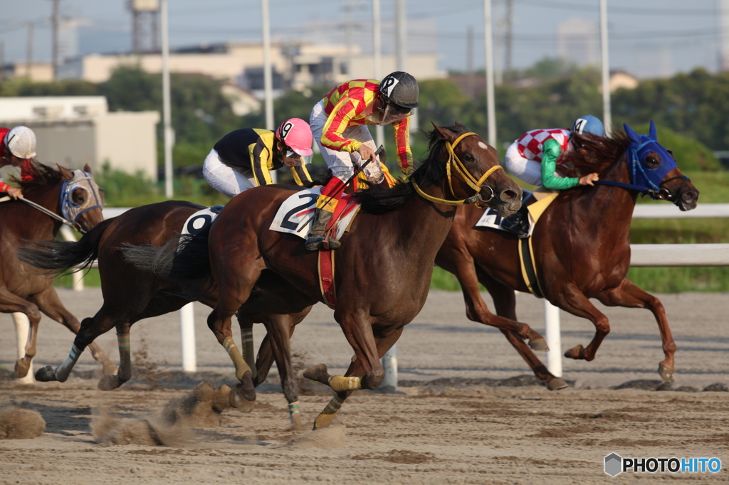 船橋競馬