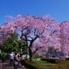 IMGP2007