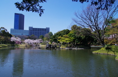 IMGP1966