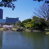 IMGP1966