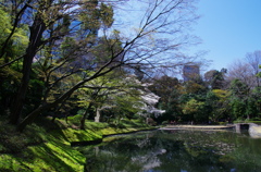 IMGP1976