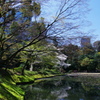 IMGP1976