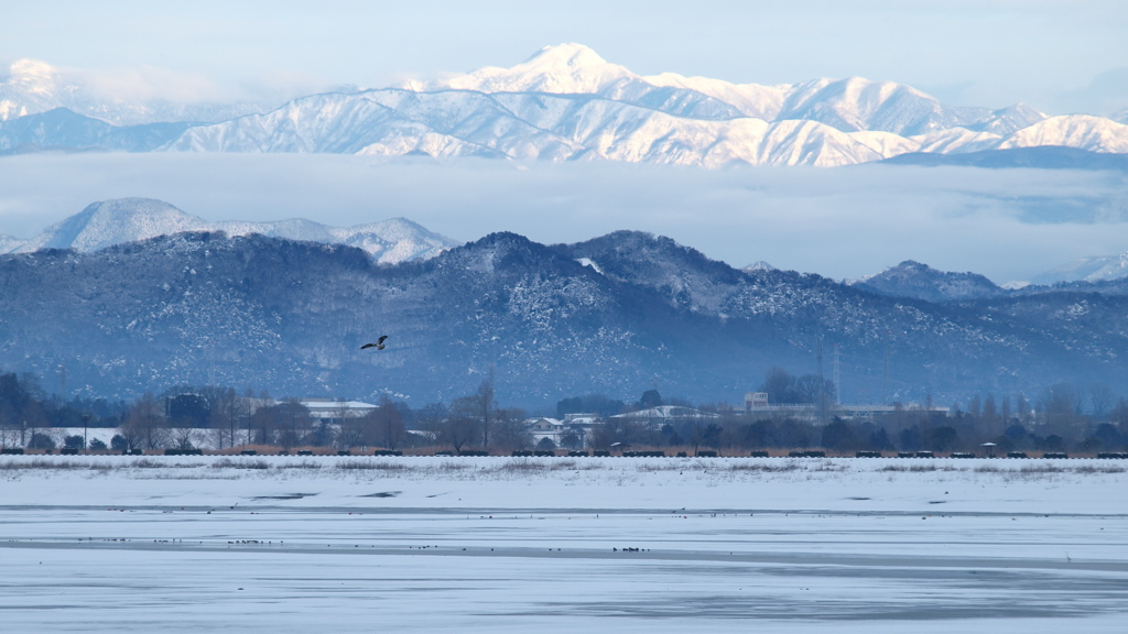 雪の渡良瀬