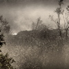 霧の朝に４