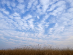 空に憧れて