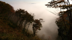 鎌倉山の雲海