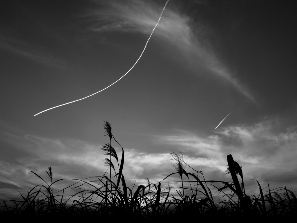 飛行機雲の秋