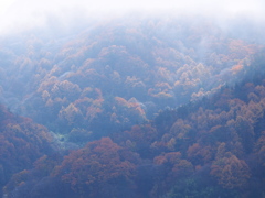 雨あがる３