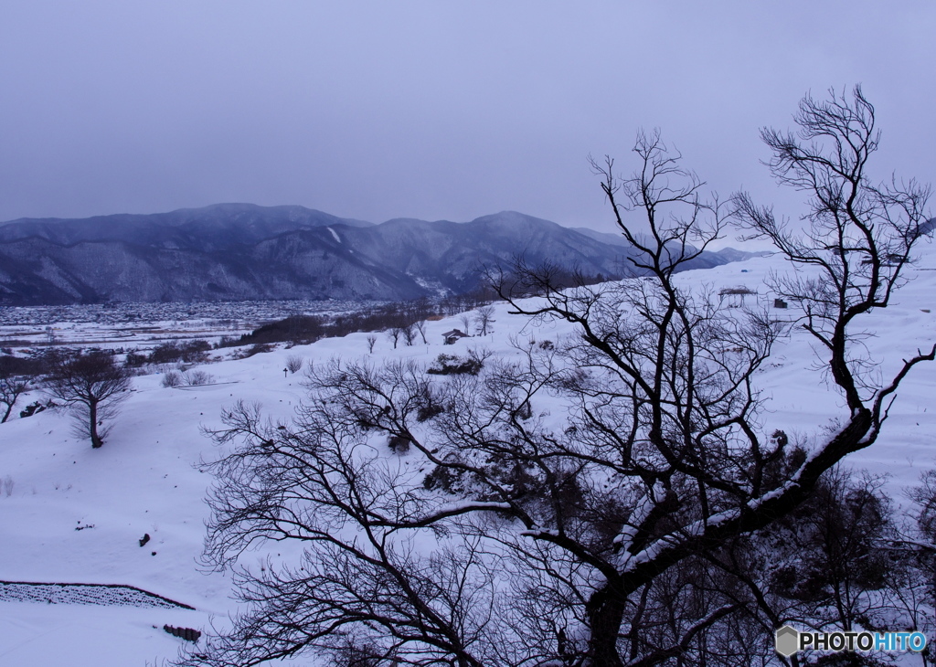雪景色