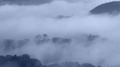 霧立つ朝