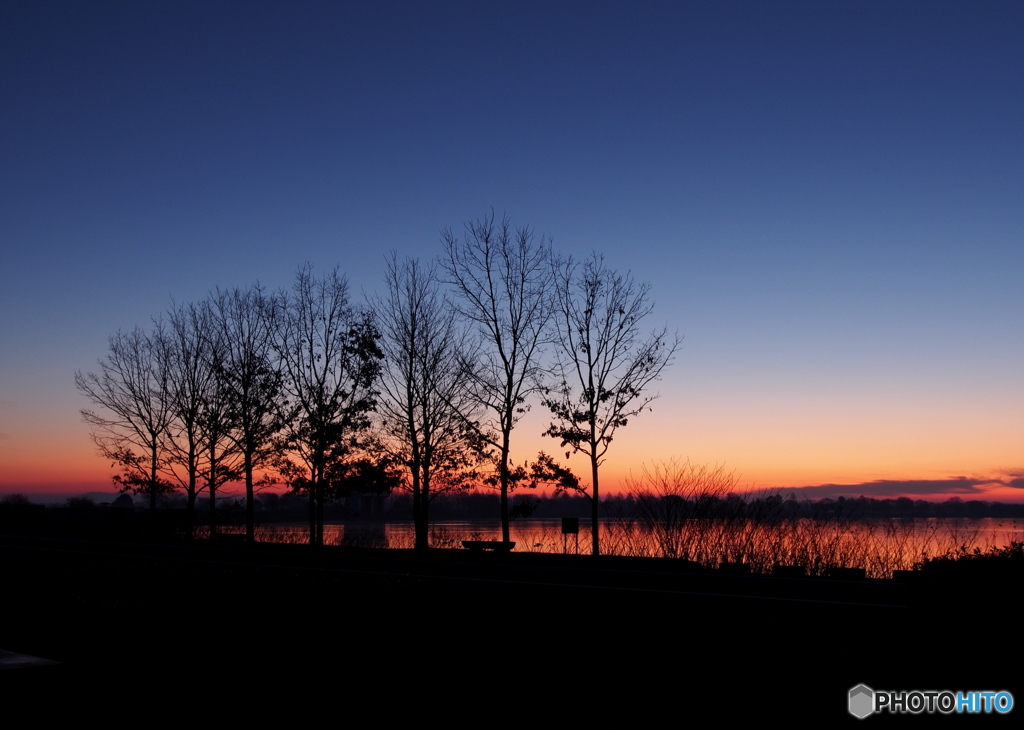 渡良瀬遊水地の夜明け３