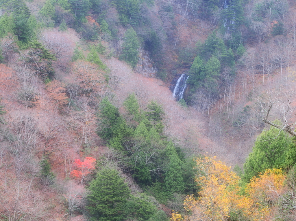 峠の色