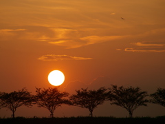 夏休みの夕暮れ