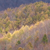 光る山