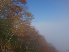 霧が晴れれば