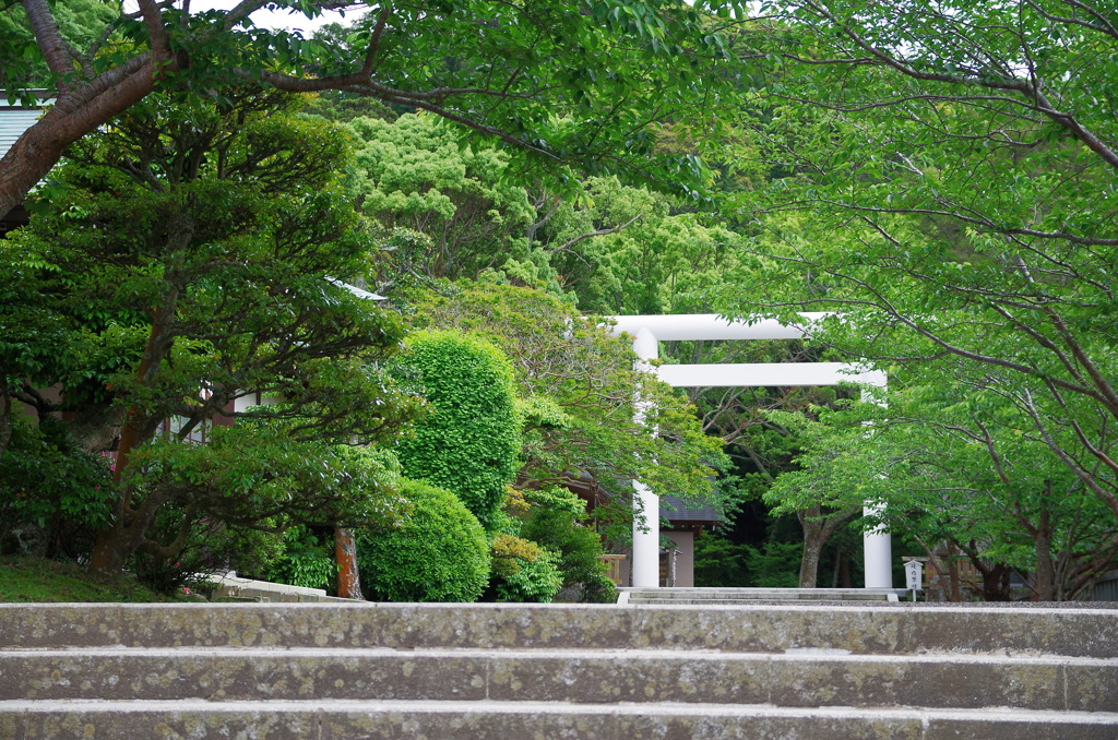 白い鳥居（安房国一宮）