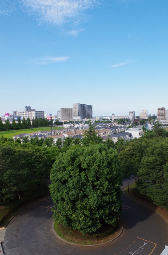 青空教室