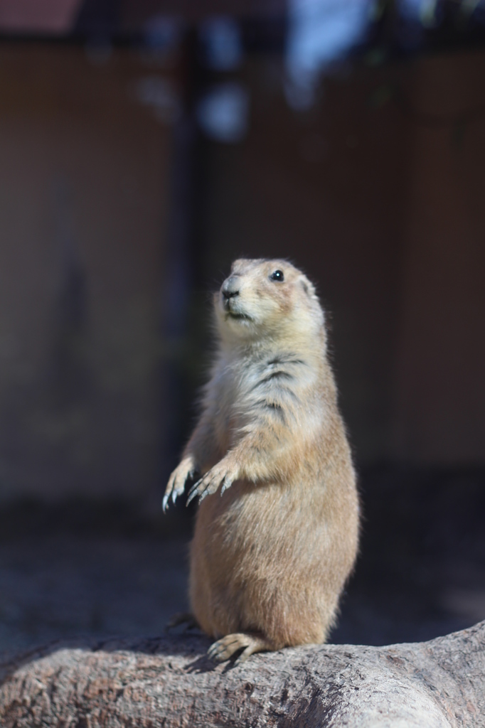 到津の森公園①