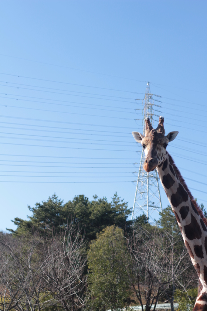 到津の森公園③