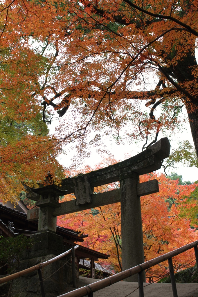 仁比山神社