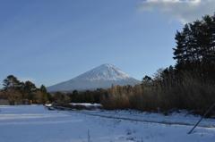 富士山
