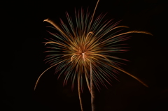 花火7