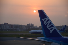飛行機のシッポ