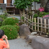 修善寺／にらめっこ