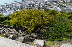 久能山東照宮①