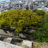 久能山東照宮①