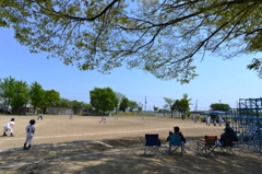 2014 開幕戦