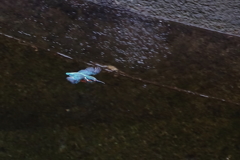 遠くて 暗くて 小さくて・・・楽しくて ^^