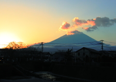 いつもの散歩道