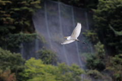 飛んで 飛んで 飛んで 飛んで 飛んで 飛んで 飛んで 飛んで 飛んで～